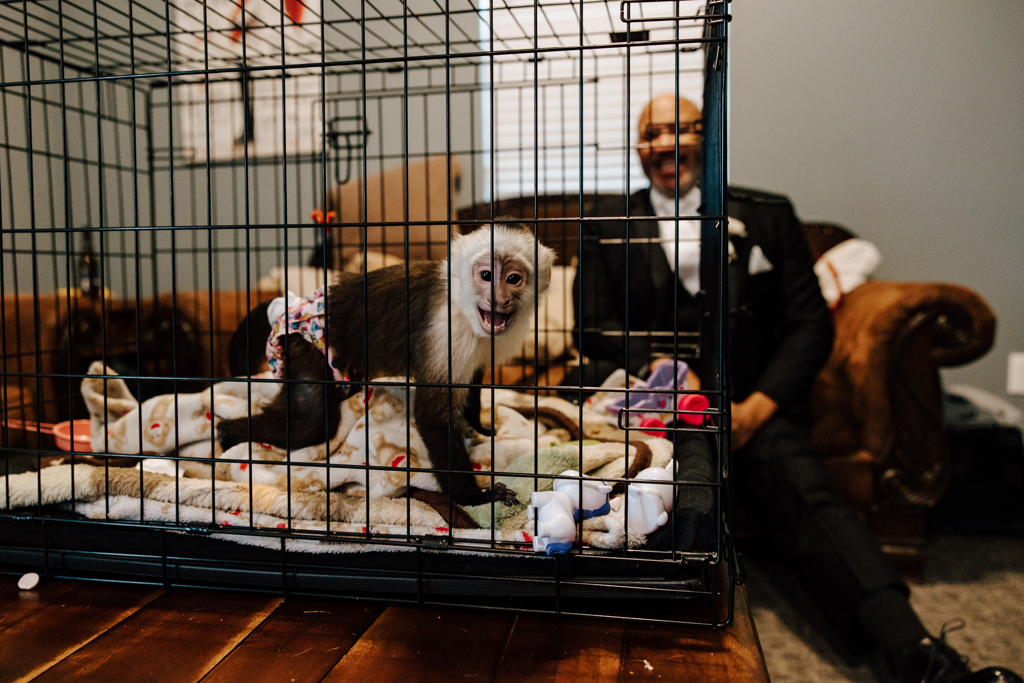 A capuchin monkey is seen in a black wire dog crate with its owner smiling behind it in the groom's quarters.